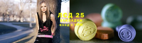 прущие грибы Абинск