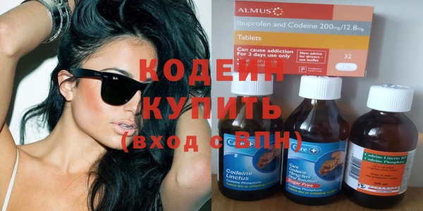 прущие грибы Абинск
