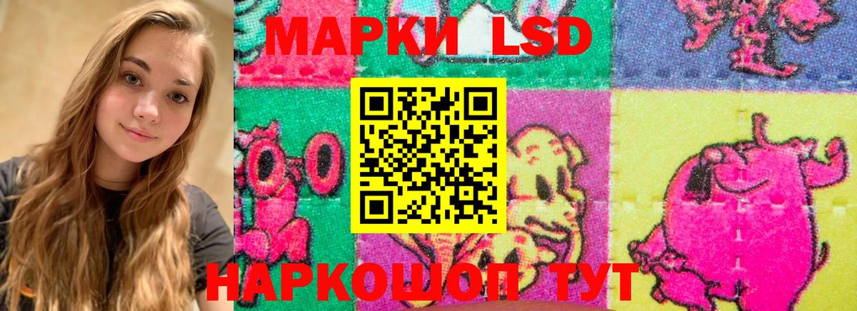 Элиста  LSD-25 экстази кислота  Вход с VPN 