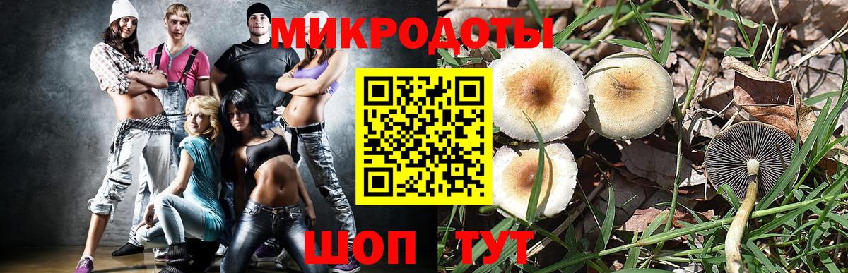 Галлюциногенные грибы GOLDEN TEACHER  как найти   Элиста  Вход с VPN 