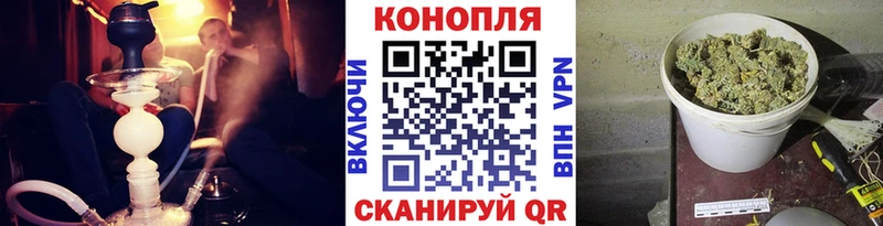 Каннабис White Widow  магазин  наркотиков  МЕГА зеркало  Элиста 